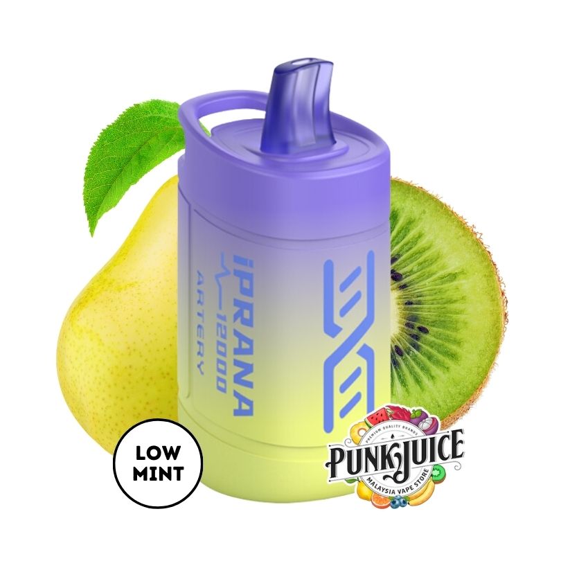 Artery iPRANA 12,000 5% Disposable Pod - Kiwi Sidney